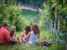Wine trekking