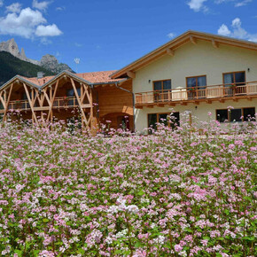 Eco Green Agritur Fiores_4