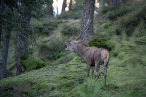 Con gli occhi del fotografo