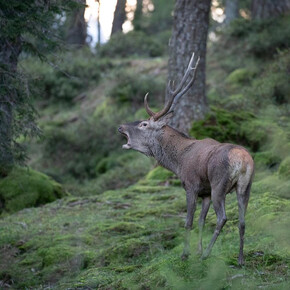 Con gli occhi del fotografo