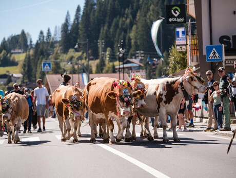 Desmonteada de Soraga_7