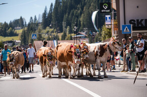 Desmonteada de Soraga_7