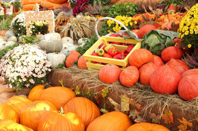 Mercato contadino