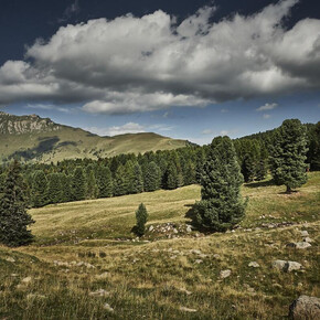 Malga Canvere - Alpe Lusia
