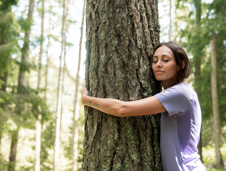 Forest Bathing - Alpe Lusia