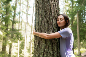 Forest Bathing - Alpe Lusia