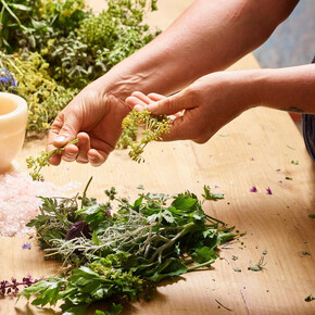 Eco Green Agritur Fiores_6