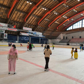 Carnevale sul ghiaccio - Palasmeraldo Fondo