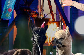 cena Capodanno Val di Non