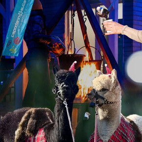 cena Capodanno Val di Non