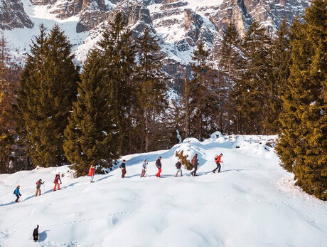 The photo depicts a group of hikers walking in the snow with snowshoes, following a line on a snow-covered mountain slope. The hikers are surrounded by tall green coniferous trees and the snow-covered Brenta Dolomites in the background.