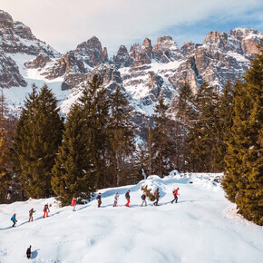 The photo depicts a group of hikers walking in the snow with snowshoes, following a line on a snow-covered mountain slope. The hikers are surrounded by tall green coniferous trees and the snow-covered Brenta Dolomites in the background.