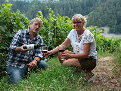 Degustazione in Cantina Sperdossi