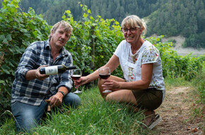 Degustazione in Cantina Sperdossi