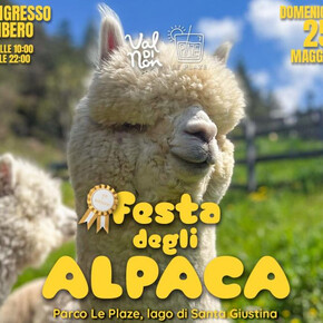 Festa degli Alpaca