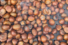 castagne san martino