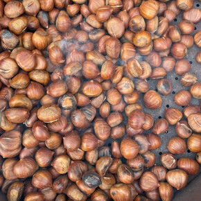 castagne san martino