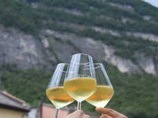 Tre calici di vino bianco brindano con sullo sfondo montagne verdi e case di un borgo.