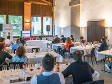 The image shows a room with exposed beams where a masterclass on Trentino wines is taking place. There are seven tables with 17 people seated, tasting multiple glasses of red wine. In the background, the speaker is discussing new grape varieties resistant to fungal diseases.