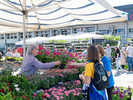 L'immagine mostra i numeri della tombola