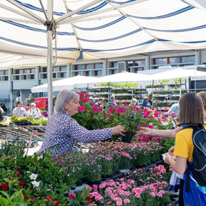 L'immagine mostra i numeri della tombola