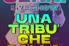  The photo depicts the singer Domenico Cerri singing.