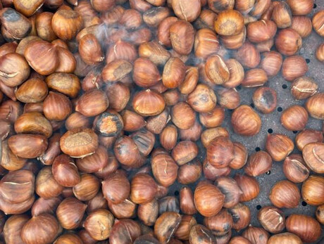 Paganella Carnival Fest Malga Zambana Paganella Carnival Fest - Malga Zambana