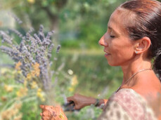 The photo portrays Annachiara Zecchetto, a nature guide, while she collects helichrysum and lavender plants for the Passo dopo Passo event that will be held in ACQUAin on July 26. Annachiara has an olive tree and a meadow with herbs in the background. She is holding a bunch of lavender and helichrysum. Her face conveys serenity. She is wearing a light and loose dress with a colorful print. The sun is high.
