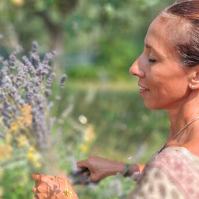 The photo portrays Annachiara Zecchetto, a nature guide, while she collects helichrysum and lavender plants for the Passo dopo Passo event that will be held in ACQUAin on July 26. Annachiara has an olive tree and a meadow with herbs in the background. She is holding a bunch of lavender and helichrysum. Her face conveys serenity. She is wearing a light and loose dress with a colorful print. The sun is high.