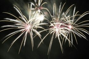 Nell' immagine si vedono fuochi d'artificio nel cielo notturno