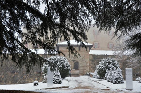 Visita guidata a Castel Thun