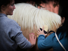 Horseback riding to Lago dei Caprioli 