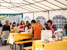 Zicoria FestiVal di Sole