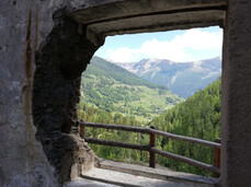 Barba di Fior che ferrata!