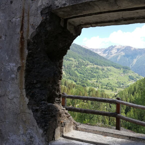 Barba di Fior che ferrata!