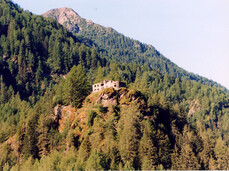 Barba di Fior che ferrata!