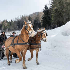 Ride into a fairy tale