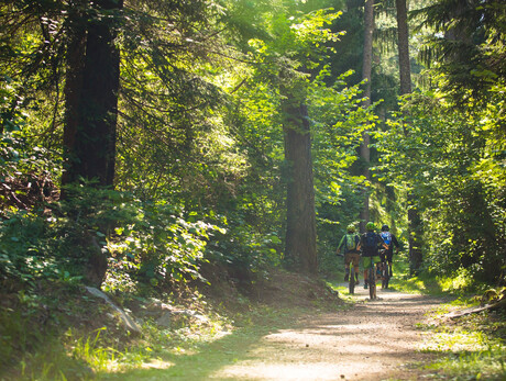 E-Bike for foodies: tour with lunch at the malga