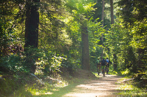 E-Bike for foodies: tour with lunch at the malga