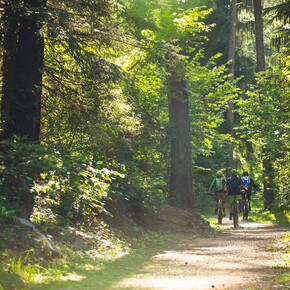 E-Bike for foodies: tour with lunch at the malga