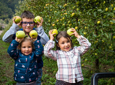 Gustonatura: Das warme Herz des Apfels