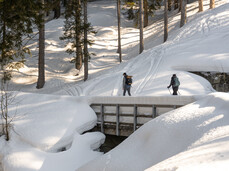 Up to Malghetto di Almazzago