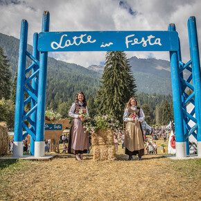 Latte in Festa