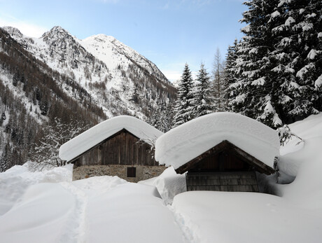 The snow-covered highlands: the magic of the Park 