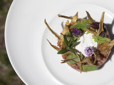 MagnAmour Primavera - Spring