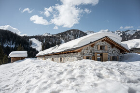 Malga Dimaro - Baita Ciocomiti