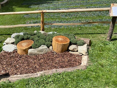 Edelweiss eco-wellness path