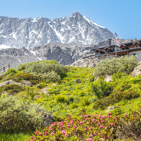 Denza-Hütte