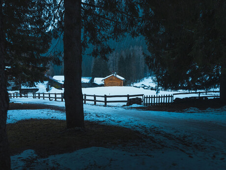 Peering through the forest: a hike with a thermal camera