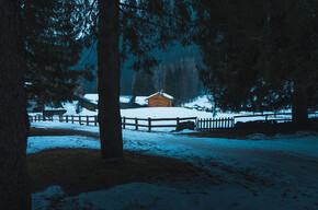 Peering through the forest: a hike with a thermal camera